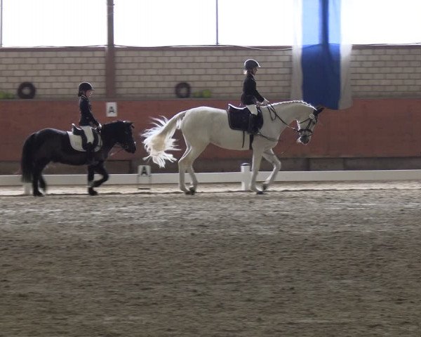 Reitturnier Hellefeld 2024