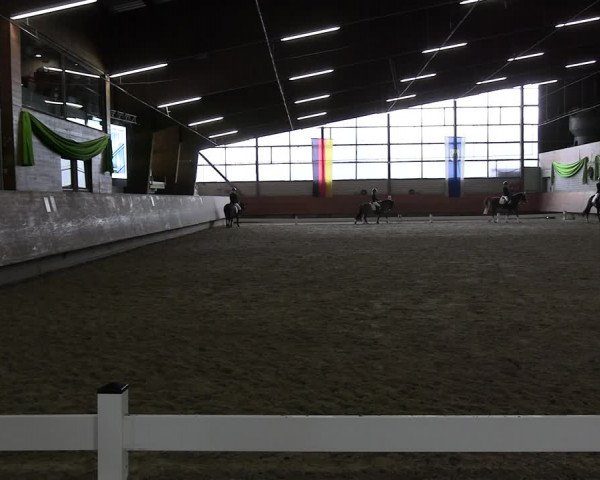 Reitturnier Hellefeld 2024