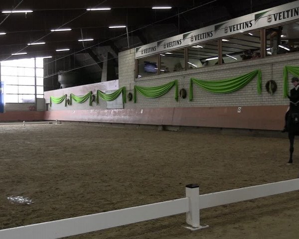 Reitturnier Hellefeld 2024