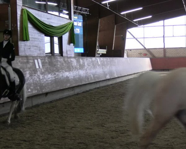 Reitturnier Hellefeld 2024