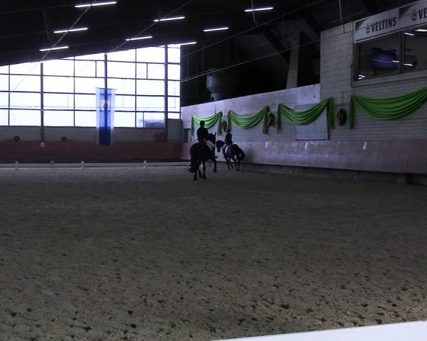 Reitturnier Hellefeld 2024
