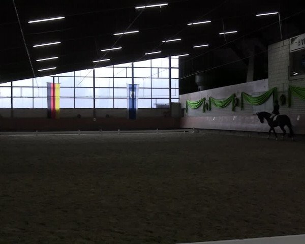 Reitturnier Hellefeld 2024