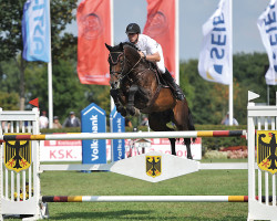 stallion Cador 5 (Oldenburg, 2005, from Catoki)