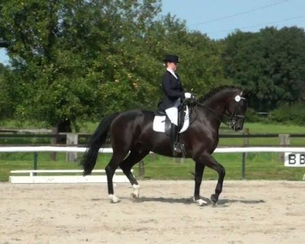 Sommerturnier Recklinghausen 2011