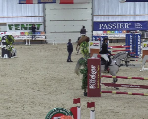 Reitturnier Borken 2024