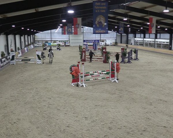 Reitturnier Borken 2024