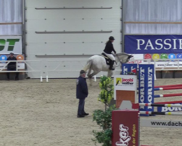 Reitturnier Borken 2024