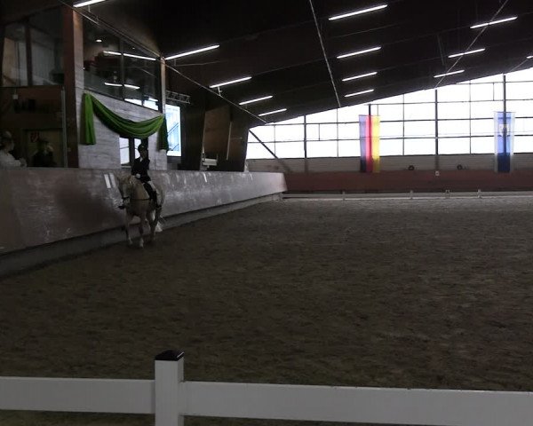 Reitturnier Hellefeld 2024