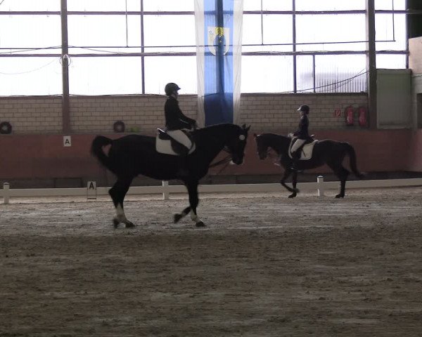 Reitturnier Hellefeld 2024