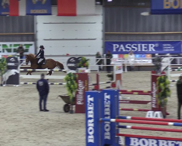 Reitturnier Borken 2024
