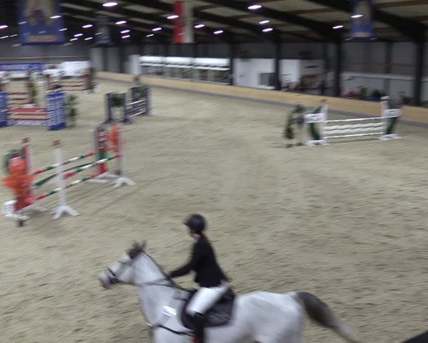 Reitturnier Borken 2024
