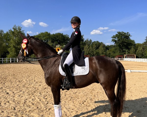 dressage horse Florimax (Oldenburg, 2007, from Florencio I)