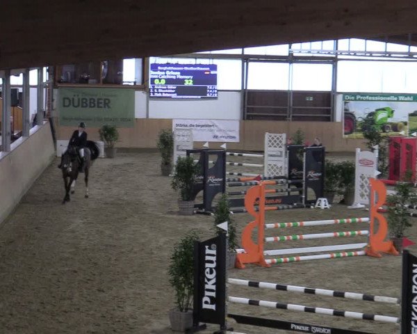 Reitturnier Borgholzhausen-Westbarthausen 2024