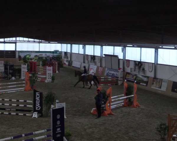 Reitturnier Borgholzhausen-Westbarthausen 2024