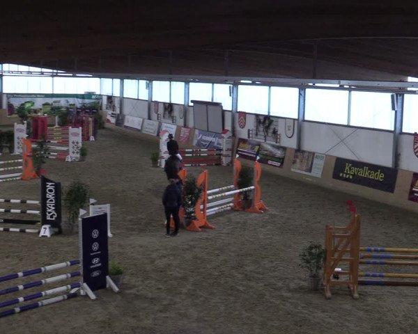 Reitturnier Borgholzhausen-Westbarthausen 2024