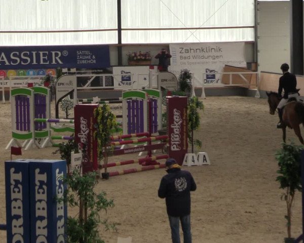 Reitturnier Borken 2024