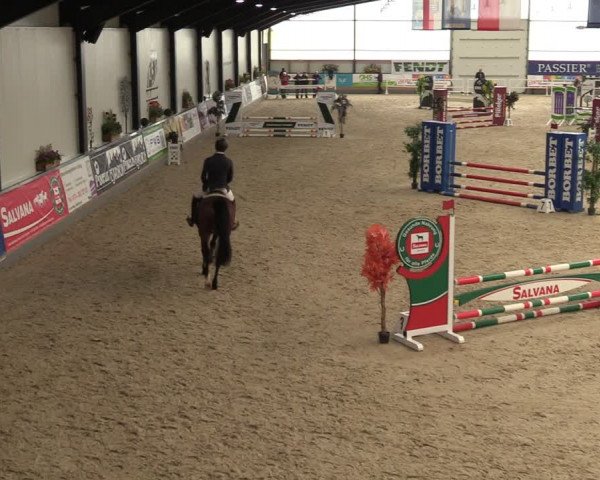 Reitturnier Borken 2024