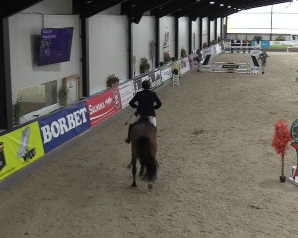 Reitturnier Borken 2024