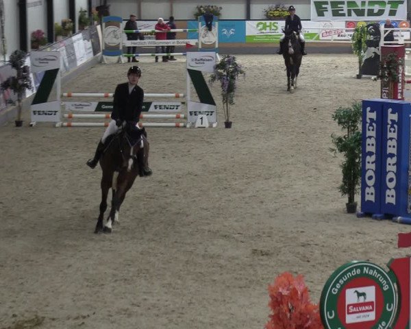 Reitturnier Borken 2024