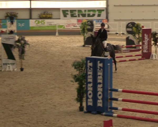 Reitturnier Borken 2024