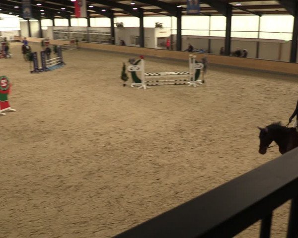 Reitturnier Borken 2024
