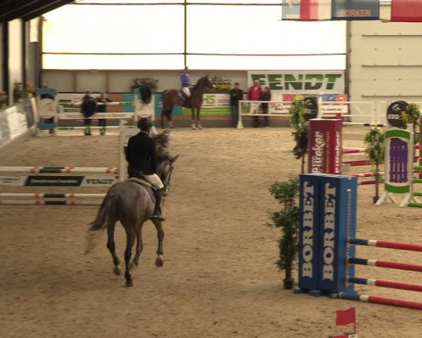 Reitturnier Borken 2024
