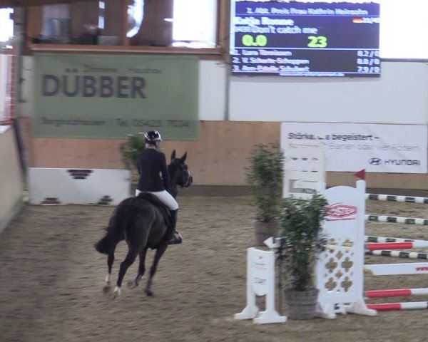 Reitturnier Borgholzhausen-Westbarthausen 2024