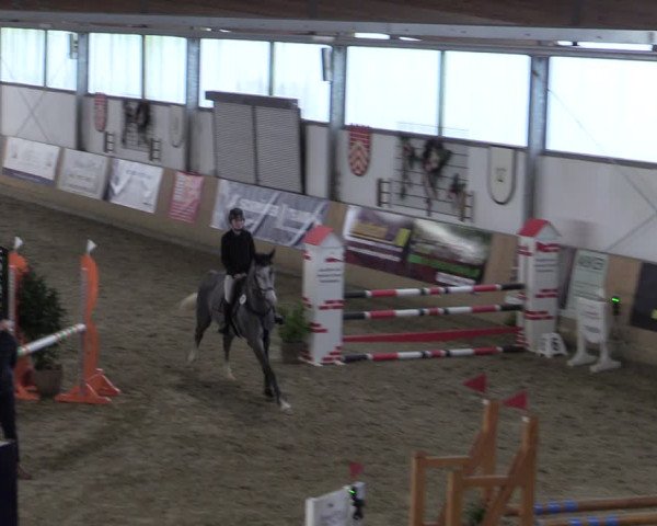Reitturnier Borgholzhausen-Westbarthausen 2024