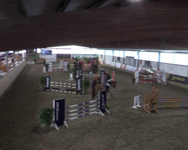 Reitturnier Borgholzhausen-Westbarthausen 2024
