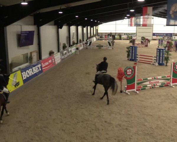 Reitturnier Borken 2024
