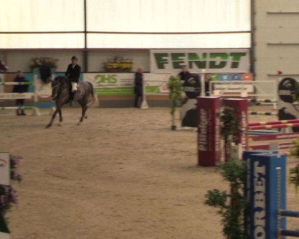 Reitturnier Borken 2024