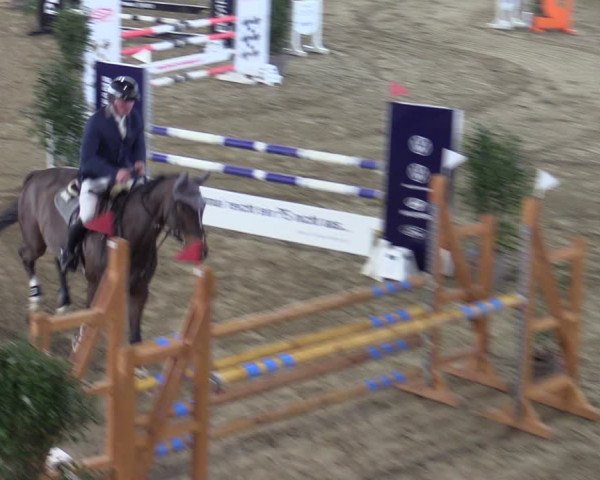 Reitturnier Borgholzhausen-Westbarthausen 2024