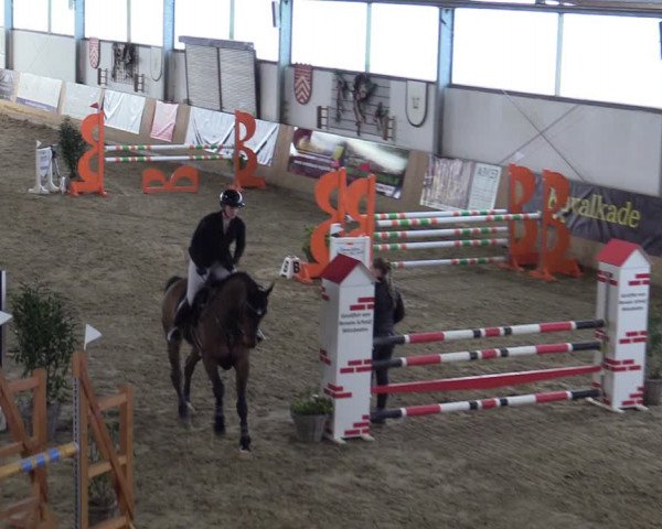 Reitturnier Borgholzhausen-Westbarthausen 2024