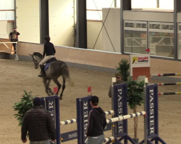 Reitturnier Borken 2024