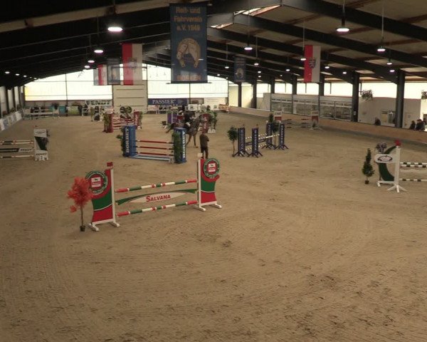 Reitturnier Borken 2024