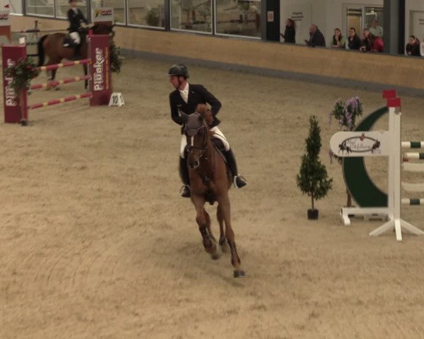 Reitturnier Borken 2024