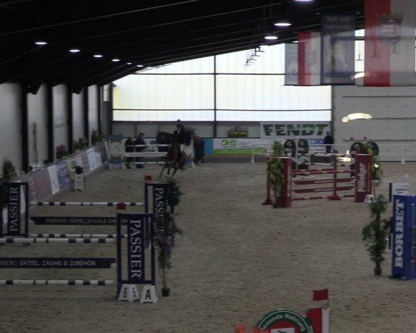 Reitturnier Borken 2024