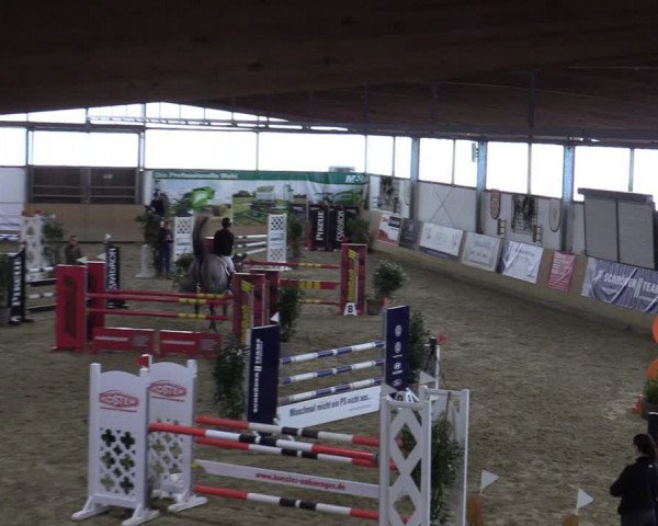 Reitturnier Borgholzhausen-Westbarthausen 2024