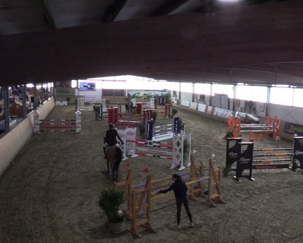 Reitturnier Borgholzhausen-Westbarthausen 2024