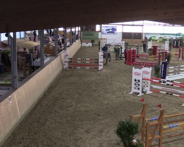 Reitturnier Borgholzhausen-Westbarthausen 2024