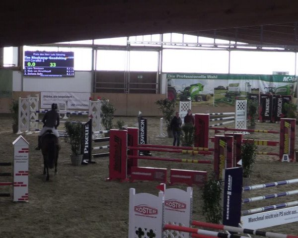 Reitturnier Borgholzhausen-Westbarthausen 2024