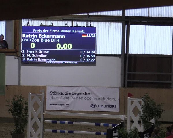 Reitturnier Borgholzhausen-Westbarthausen 2024
