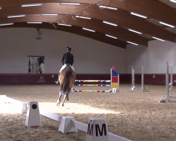 Reitturnier Eicherloh RH Laurent/Obb. 2024