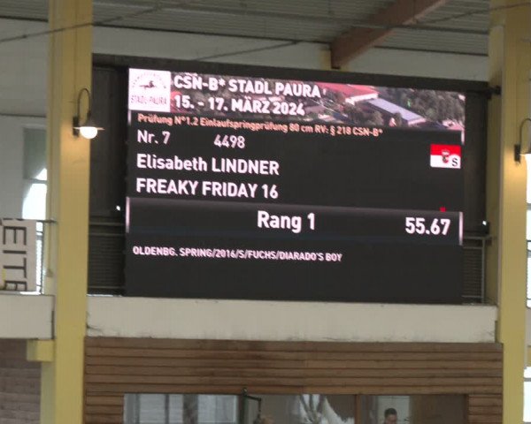 Reitturnier Stadl-Paura 2024