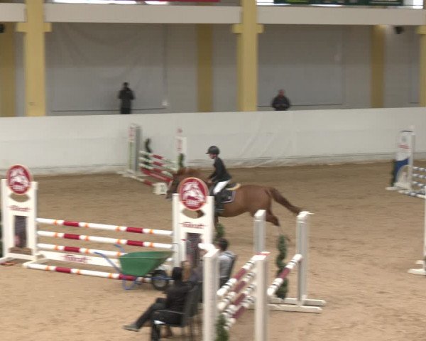 Reitturnier Stadl-Paura 2024