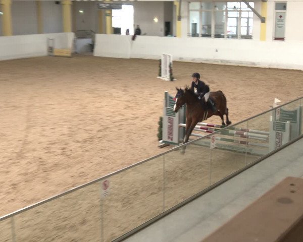 Reitturnier Stadl-Paura 2024
