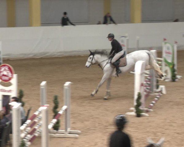 Reitturnier Stadl-Paura 2024