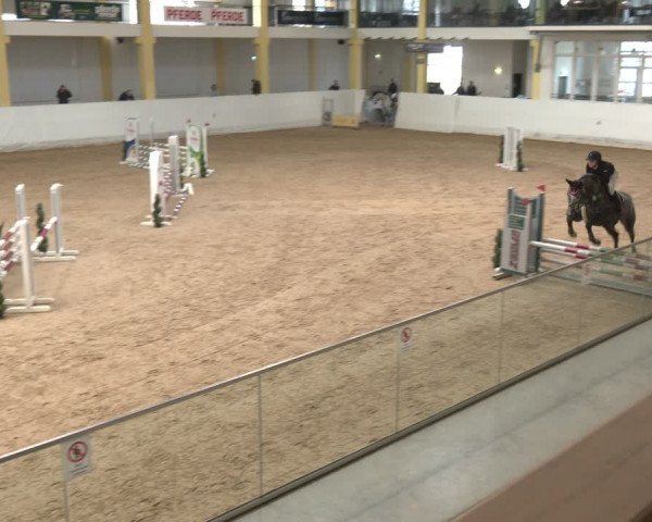 Reitturnier Stadl-Paura 2024
