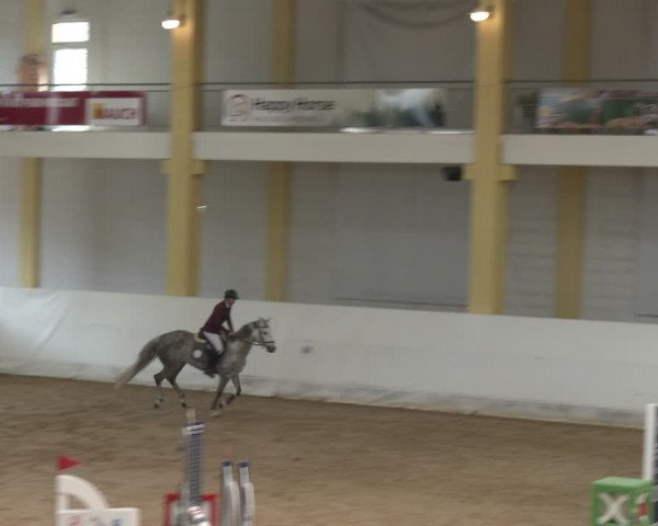 Reitturnier Stadl-Paura 2024