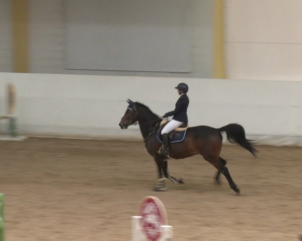 Reitturnier Stadl-Paura 2024